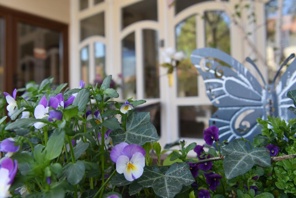 Guest House Romantika Panzio Gyula Exterior foto